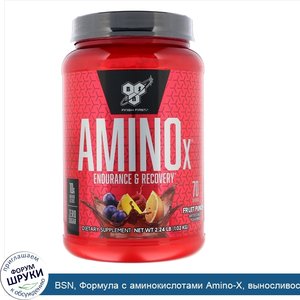 BSN__Формула_с_аминокислотами_Amino_X__выносливость_и_восстановление__фруктовый_пунш__1_01_кг_...jpg
