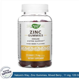 Nature_s_Way__Zinc_Gummies__Mixed_Berry___11_mg__120_Gummies.jpg