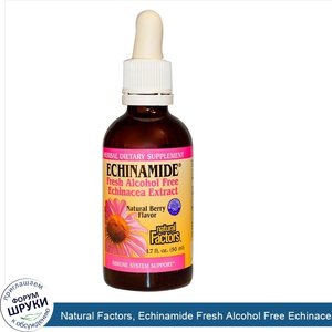Natural_Factors__Echinamide_Fresh_Alcohol_Free_Echinacea_Extract__Natural_Berry_Flavor__1.7_fl...jpg