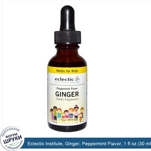 Eclectic_Institute__Ginger__Peppermint_Flavor__1_fl_oz__30_ml_.jpg