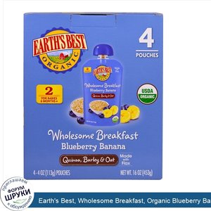 Earth_s_Best__Wholesome_Breakfast__Organic_Blueberry_Banana_Flax_and_Oat_Pouches__6___Months__...jpg