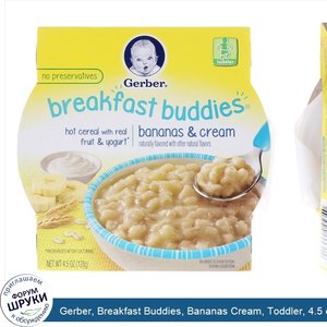 Gerber__Breakfast_Buddies__Bananas_Cream__Toddler__4.5_oz__128_g_.jpg