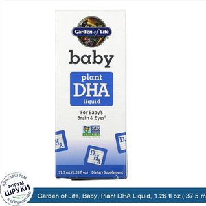 Garden_of_Life__Baby__Plant_DHA_Liquid__1.26_fl_oz___37.5_ml_.jpg