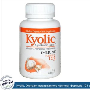 Kyolic__Экстракт_выдержанного_чеснока__формула_103_для_поддержки_иммунитета__100_капсул.jpg