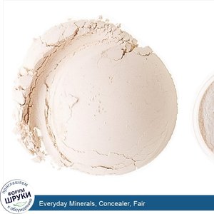 Everyday_Minerals__Concealer__Fair.jpg