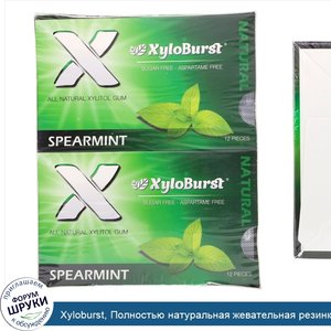 Xyloburst__Полностью_натуральная_жевательная_резинка_с_ксилитолом__мята__12_упаковок__12_штук_...jpg