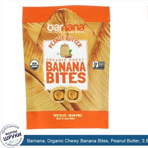Barnana__Organic_Chewy_Banana_Bites__Peanut_Butter__3.5_oz__100_g_.jpg