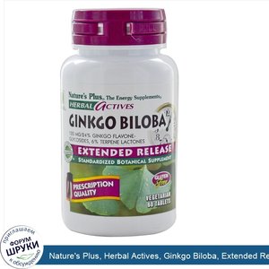 Nature_s_Plus__Herbal_Actives__Ginkgo_Biloba__Extended_Release__120_mg__60_Veggie_Tabs.jpg
