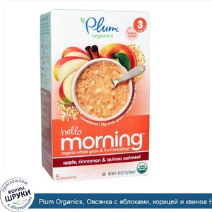 Plum_Organics__Овсянка_с_яблоками__корицей_и_квиноа_Hello_Morning__5_пакетов_по_0_6_унций__17_...jpg