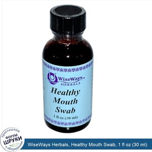 WiseWays_Herbals__Healthy_Mouth_Swab__1_fl_oz__30_ml_.jpg