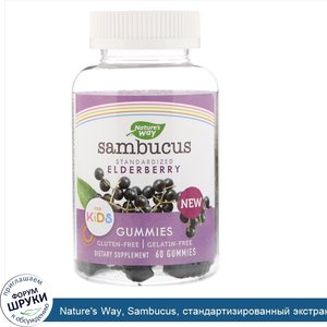 Nature_s_Way__Sambucus__стандартизированный_экстракт_бузины_для_детей__60жевательных_таблеток.jpg