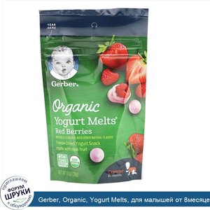 Gerber__Organic__Yogurt_Melts__для_малышей_от_8месяцев__с_красными_ягодами__28г__1_0унция_.jpg