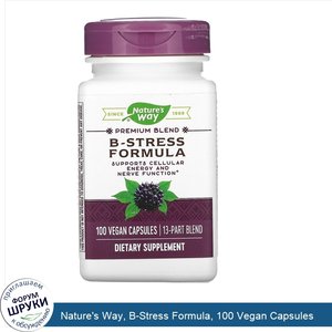 Nature_s_Way__B_Stress_Formula__100_Vegan_Capsules.jpg