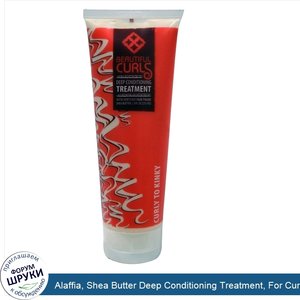 Alaffia__Shea_Butter_Deep_Conditioning_Treatment__For_Curly_to_Kinky_Hair__8_oz__235_ml_.jpg