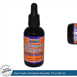 Now_Foods__Echinacea_Glycerite__2_fl_oz__60_ml_.jpg