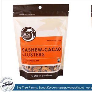Big_Tree_Farms___quot_Кусочки_кешью_какао_quot___органический_снэк_с_кусочками_кешью_и_какао__...jpg