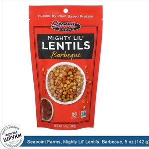 Seapoint_Farms__Mighty_Lil__Lentils__Barbecue__5_oz__142_g_.jpg