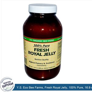 Y.S._Eco_Bee_Farms__Fresh_Royal_Jelly__100__Pure__16.9_oz__480_g___Ice_.jpg