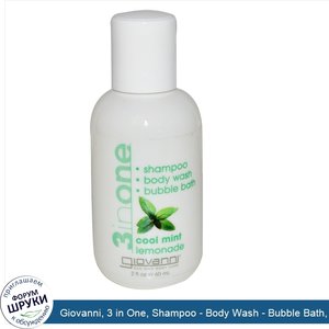 Giovanni__3_in_One__Shampoo___Body_Wash___Bubble_Bath__Cool_Mint_Lemonade__2_fl_oz__60_ml_.jpg