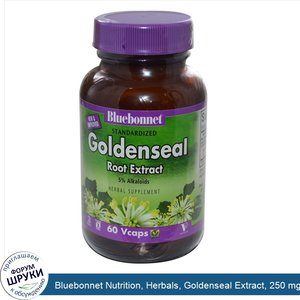 Bluebonnet_Nutrition__Herbals__Goldenseal_Extract__250_mg__60_Vcaps.jpg