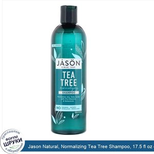 Jason_Natural__Normalizing_Tea_Tree_Shampoo__17.5_fl_oz__517_ml_.jpg