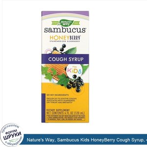 Nature_s_Way__Sambucus_Kids_HoneyBerry_Cough_Syrup__4_fl_oz.jpg