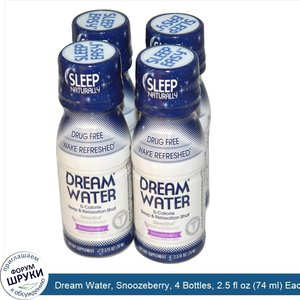 Dream_Water__Snoozeberry__4_Bottles__2.5_fl_oz__74_ml__Each.jpg