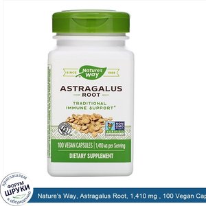 Nature_s_Way__Astragalus_Root__1_410_mg___100_Vegan_Capsules.jpg