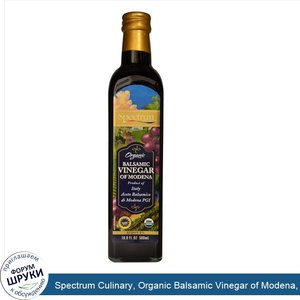 Spectrum_Culinary__Organic_Balsamic_Vinegar_of_Modena__16.9_fl_oz__500_ml_.jpg