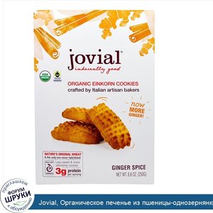 Jovial__Органическое_печенье_из_пшеницы_однозернянки__пряное__с_имбирем__8_8_унций__250_г_.jpg