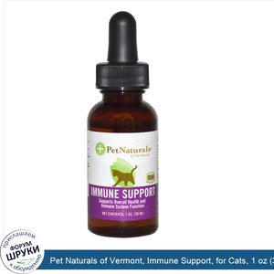 Pet_Naturals_of_Vermont__Immune_Support__for_Cats__1_oz__30_ml_.jpg
