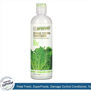 Petal_Fresh__SuperFoods__Damage_Control_Conditioner__Kale__Omega_3_Keratin__12_fl_oz__355_ml_.jpg