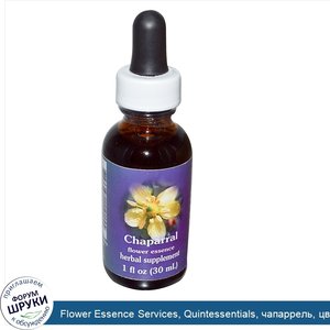 Flower_Essence_Services__Quintessentials__чапаррель__цветочная_эссенция__1_жидк._унц.__30_мл_.jpg