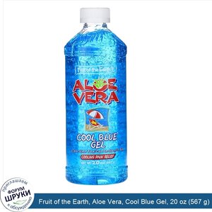 Fruit_of_the_Earth__Aloe_Vera__Cool_Blue_Gel__20_oz__567_g_.jpg