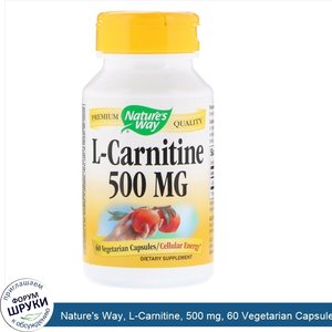 Nature_s_Way__L_Carnitine__500_mg__60_Vegetarian_Capsules.jpg