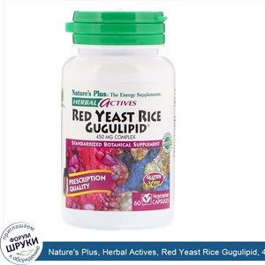 Nature_s_Plus__Herbal_Actives__Red_Yeast_Rice_Gugulipid__450_mg__60_Vegetarian_Capsules.jpg