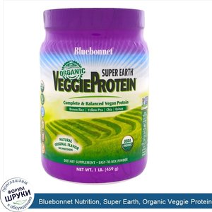 Bluebonnet_Nutrition__Super_Earth__Organic_Veggie_Protein__Original_Flavor_Unsweetened__Stevia...jpg