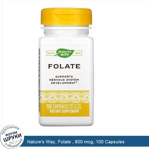 Nature_s_Way__Folate___800_mcg__100_Capsules.jpg