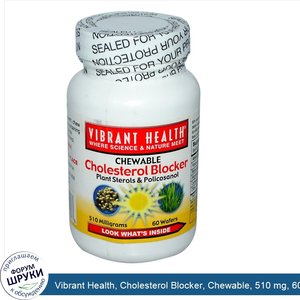 Vibrant_Health__Cholesterol_Blocker__Chewable__510_mg__60_Wafers.jpg