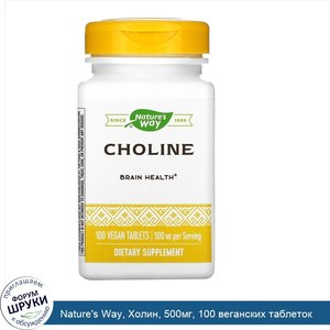 Nature_s_Way__Холин__500мг__100_веганских_таблеток.jpg