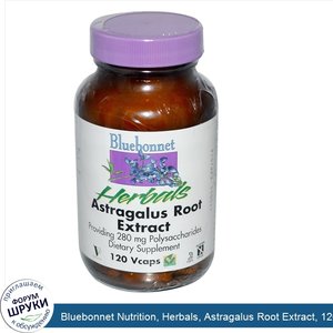 Bluebonnet_Nutrition__Herbals__Astragalus_Root_Extract__120_Vcaps.jpg