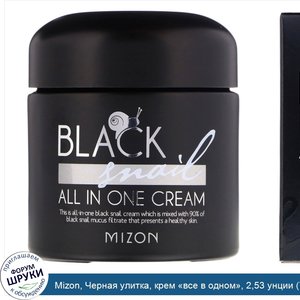 Mizon__Черная_улитка__крем__все_в_одном___2_53_унции__75_мл_.jpg