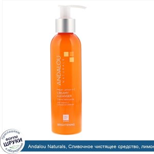 Andalou_Naturals__Сливочное_чистящее_средство__лимон_Мейера___витамин_C__осветляющее__6_ж._унц...jpg