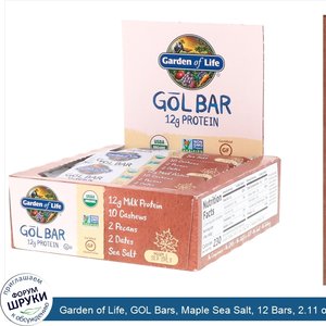 Garden_of_Life__GOL_Bars__Maple_Sea_Salt__12_Bars__2.11_oz__60_g__Each.jpg