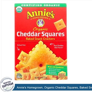 Annie_s_Homegrown__Organic_Cheddar_Squares__Baked_Snack_Crackers__7.5_oz__213_g_.jpg