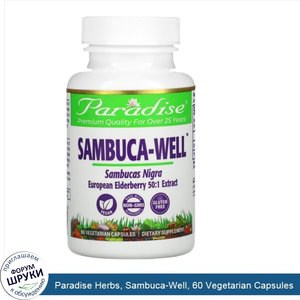 Paradise_Herbs__Sambuca_Well__60_Vegetarian_Capsules.jpg
