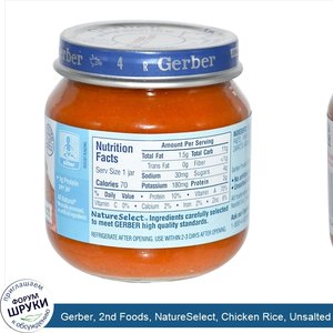 Gerber__2nd_Foods__NatureSelect__Chicken_Rice__Unsalted_Unsweetened__4_oz__113_g_.jpg