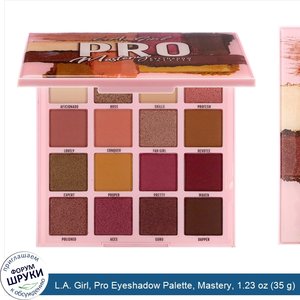 L.A._Girl__Pro_Eyeshadow_Palette__Mastery__1.23_oz__35_g_.jpg