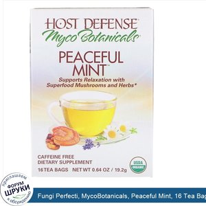 Fungi_Perfecti__MycoBotanicals__Peaceful_Mint__16_Tea_Bags__0.64_oz__19.2_g_.jpg