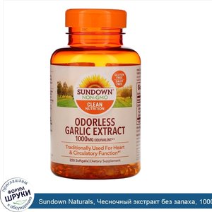 Sundown_Naturals__Чесночный_экстракт_без_запаха__1000_мг__250_мягких_таблеток.jpg